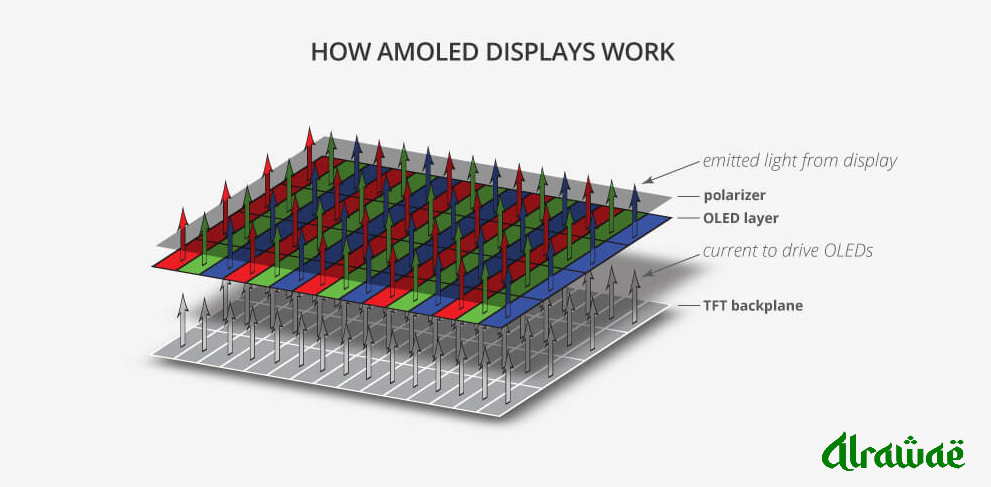 AMOLED or IPS LCD Display