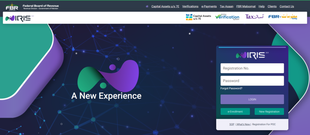 Tax Filing Tax Return Filing